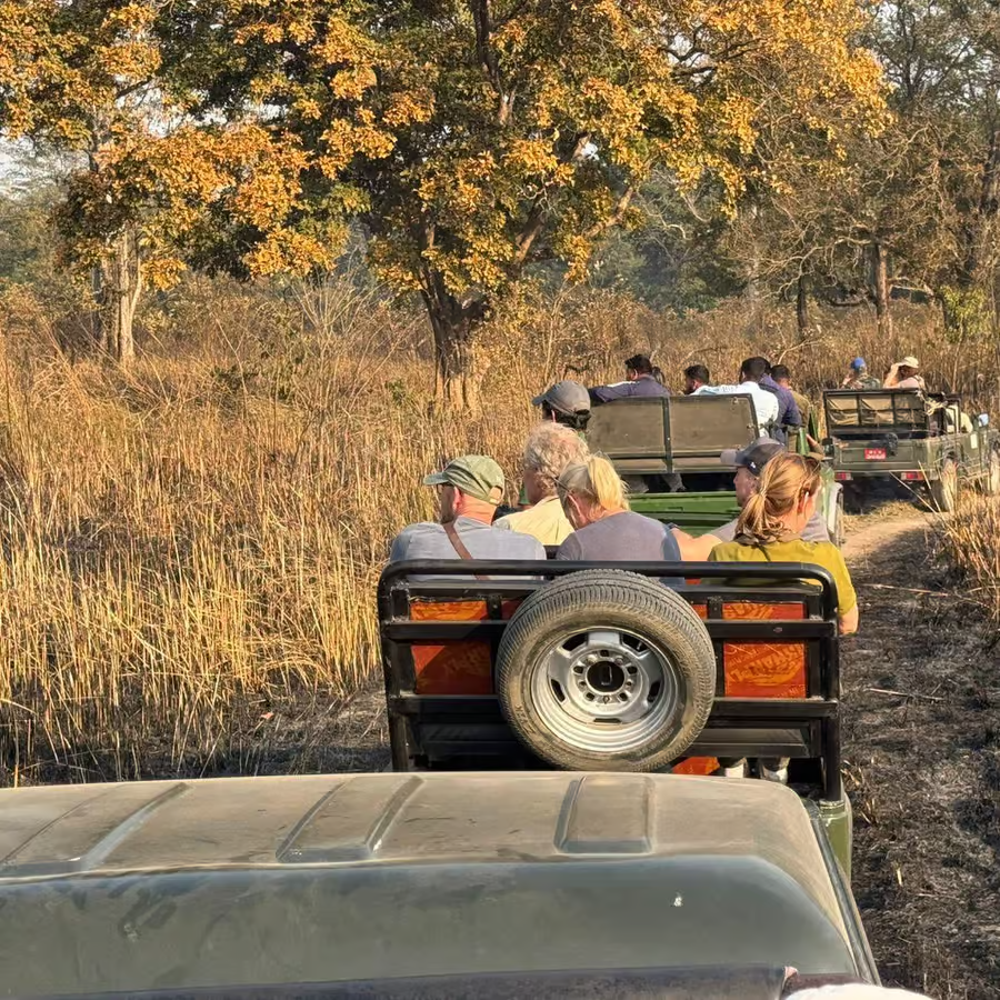 Chitwan National Park Safari Costs: A Comprehensive Guide for 2025