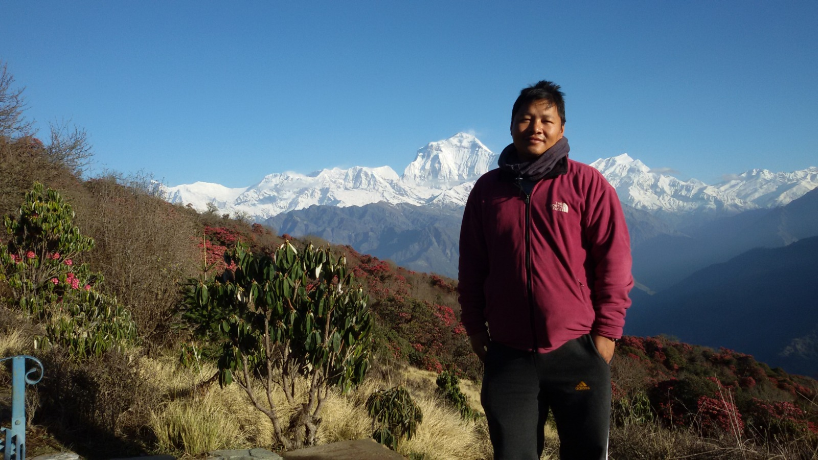 Trek the Himalayas: ABC, Langtang & Manaslu Circuit Treks