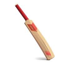 The Science Behind a Perfect Bat: Meerut’s Innovative Techniques