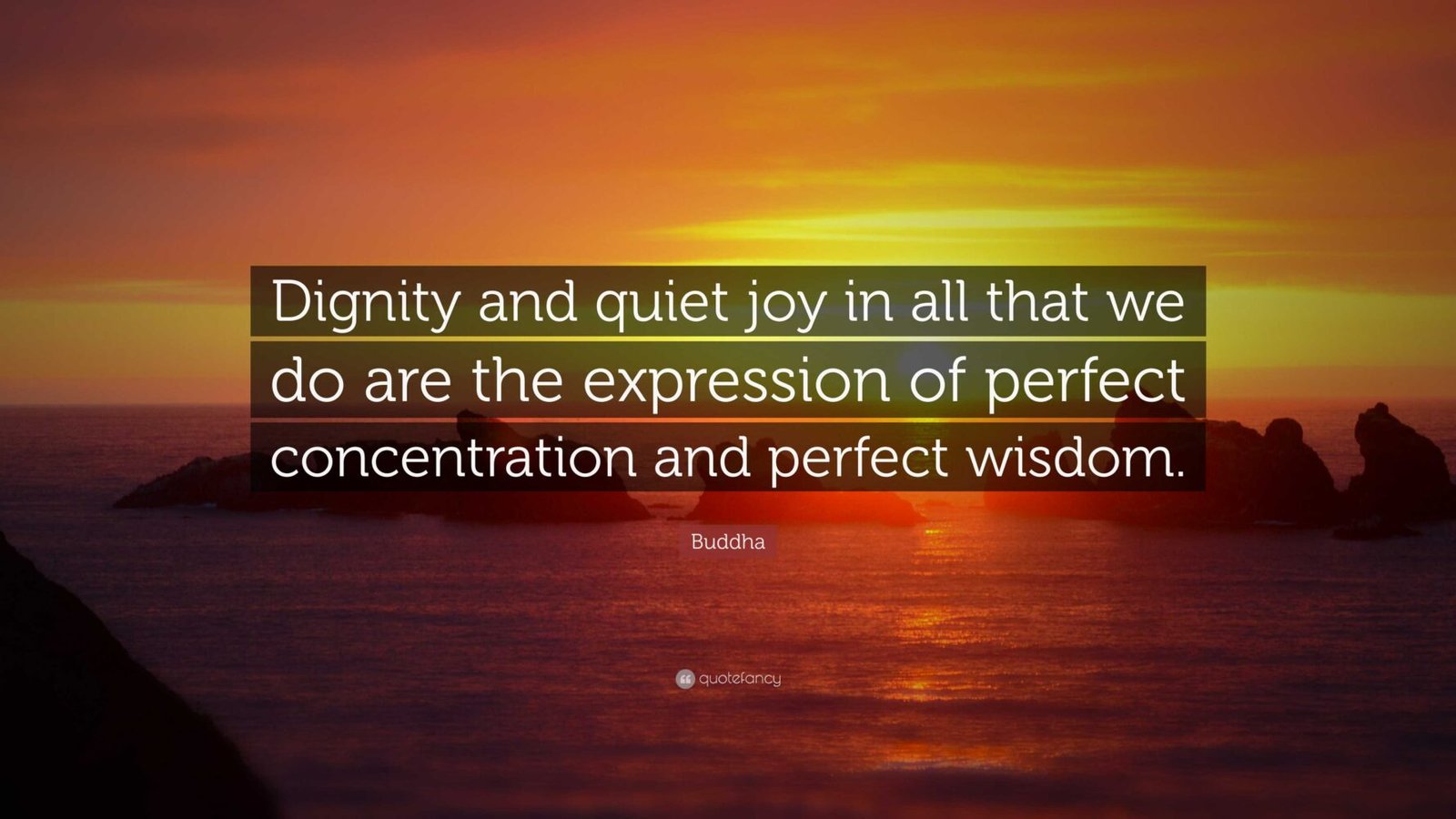 Dignity: The Quiet Power That Shapes Who We Become