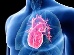 Top Reasons to Choose Dr. Manoj Godara for Advanced Cardiac Treatment in Jaipur